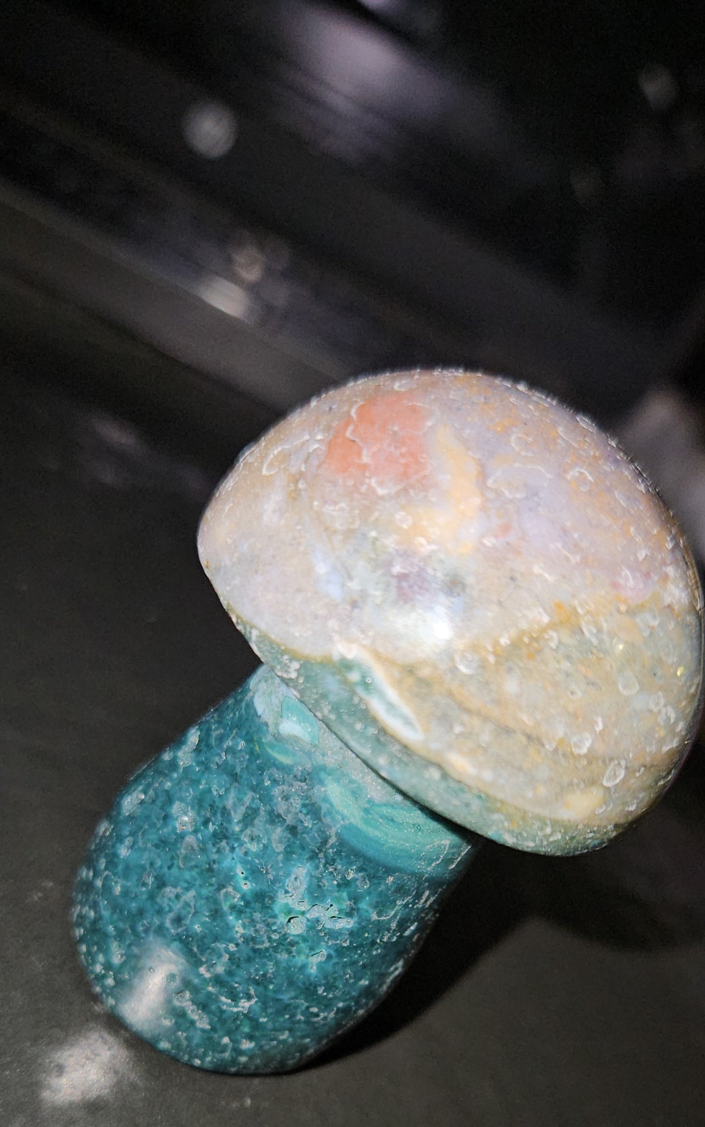Ocean Jasper Mushroom
