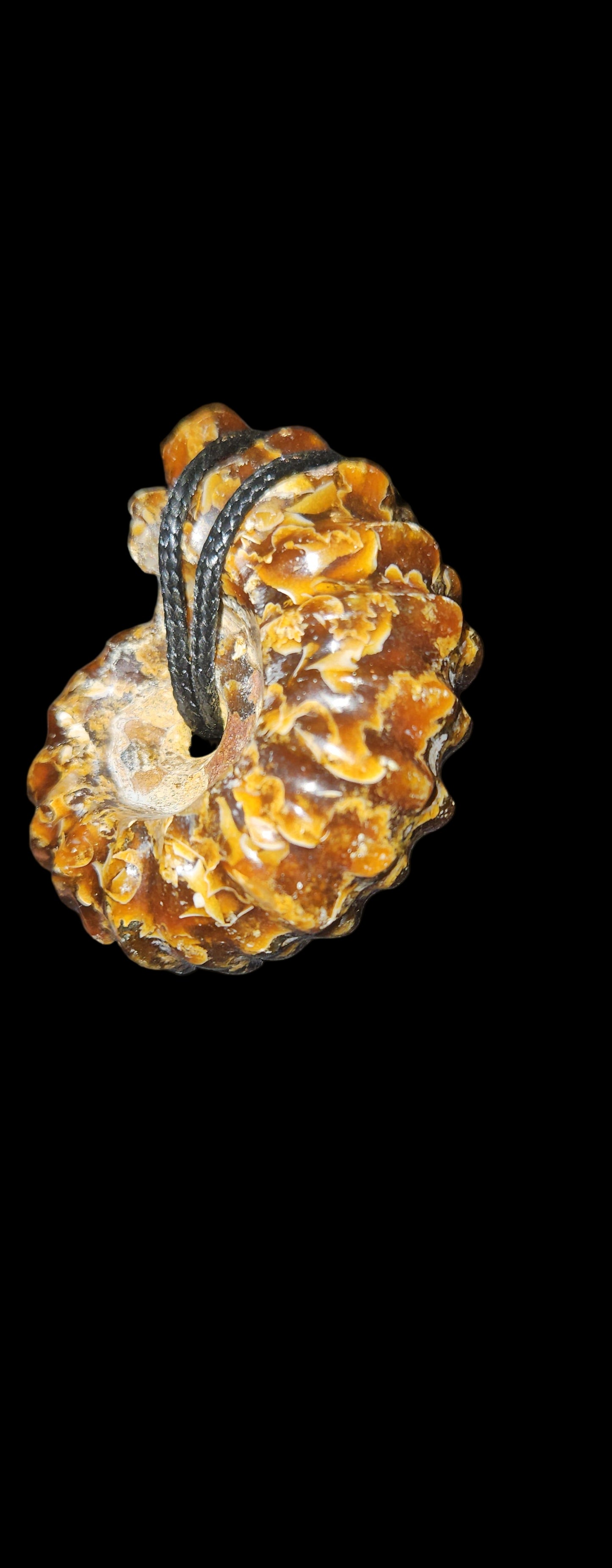 Ammonite Fossil Necklace (UV Reactive)