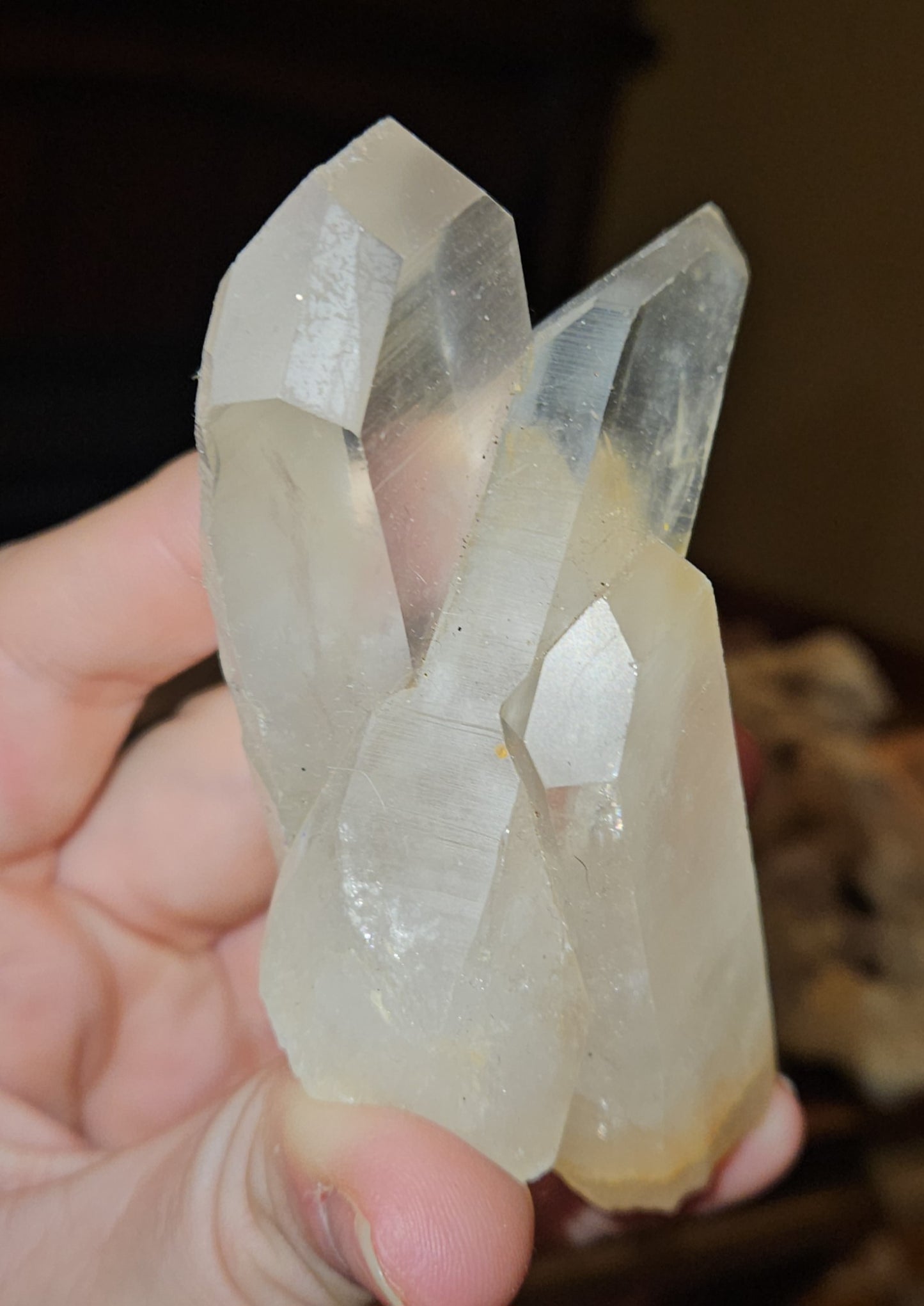 Lemurian Cluster