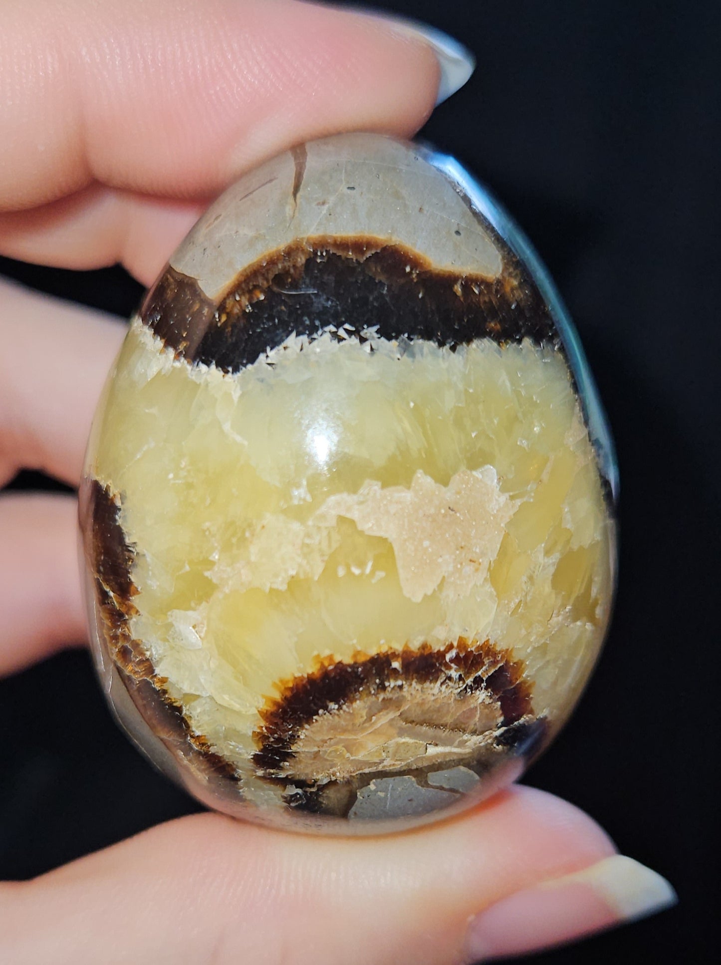 Septarian Egg (Dragons Egg)