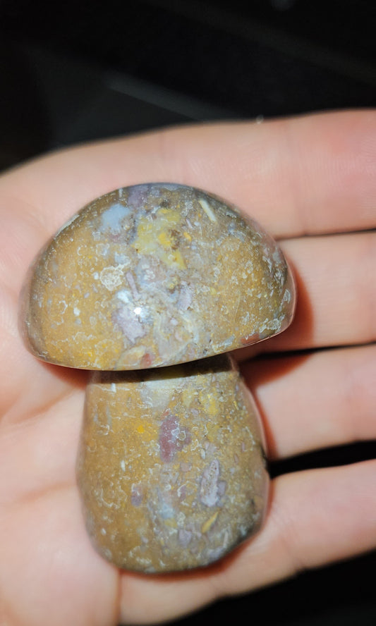 Ocean Jasper Mushroom