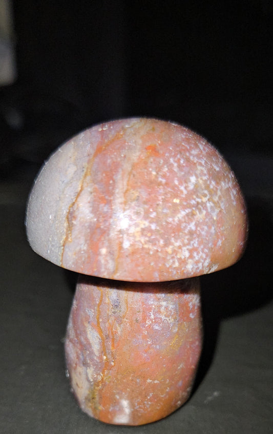 Ocean Jasper Mushroom
