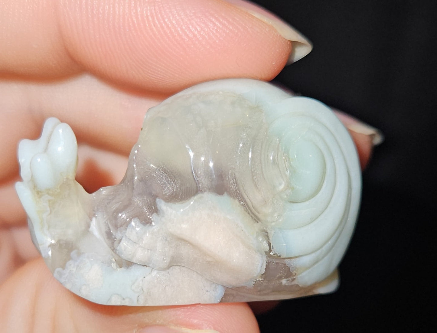 Skull Snails (3)