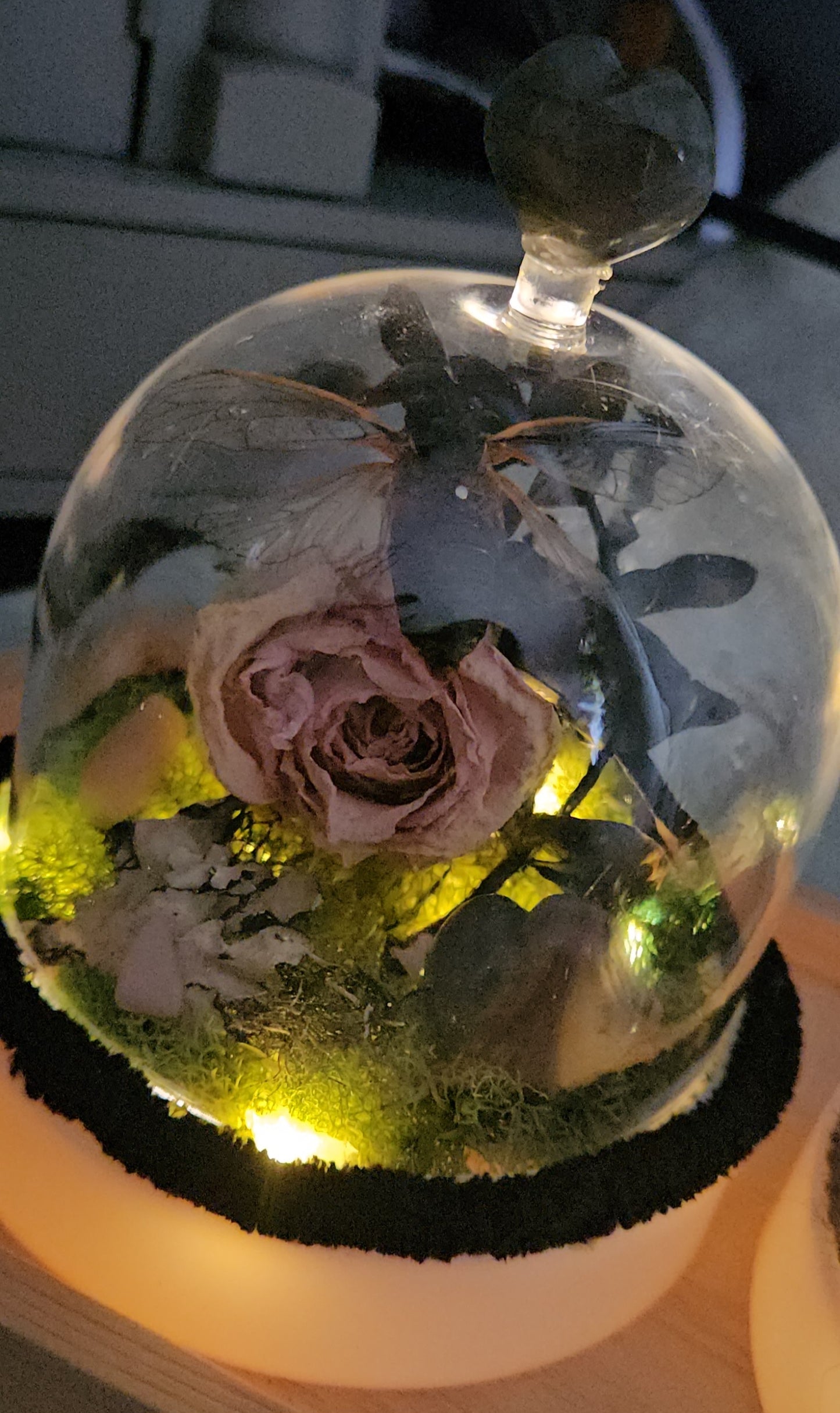 Cicada Fairy light Dome ( Pink Rose)