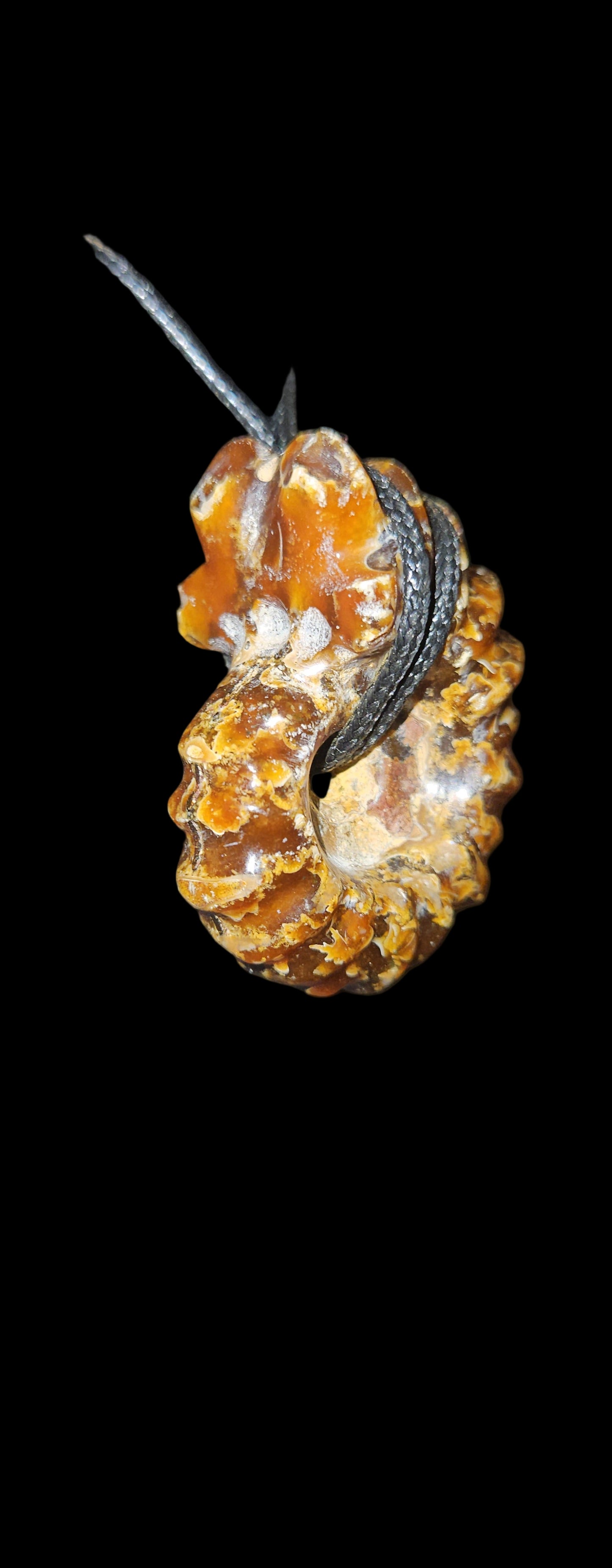 Ammonite Fossil Necklace (UV Reactive)