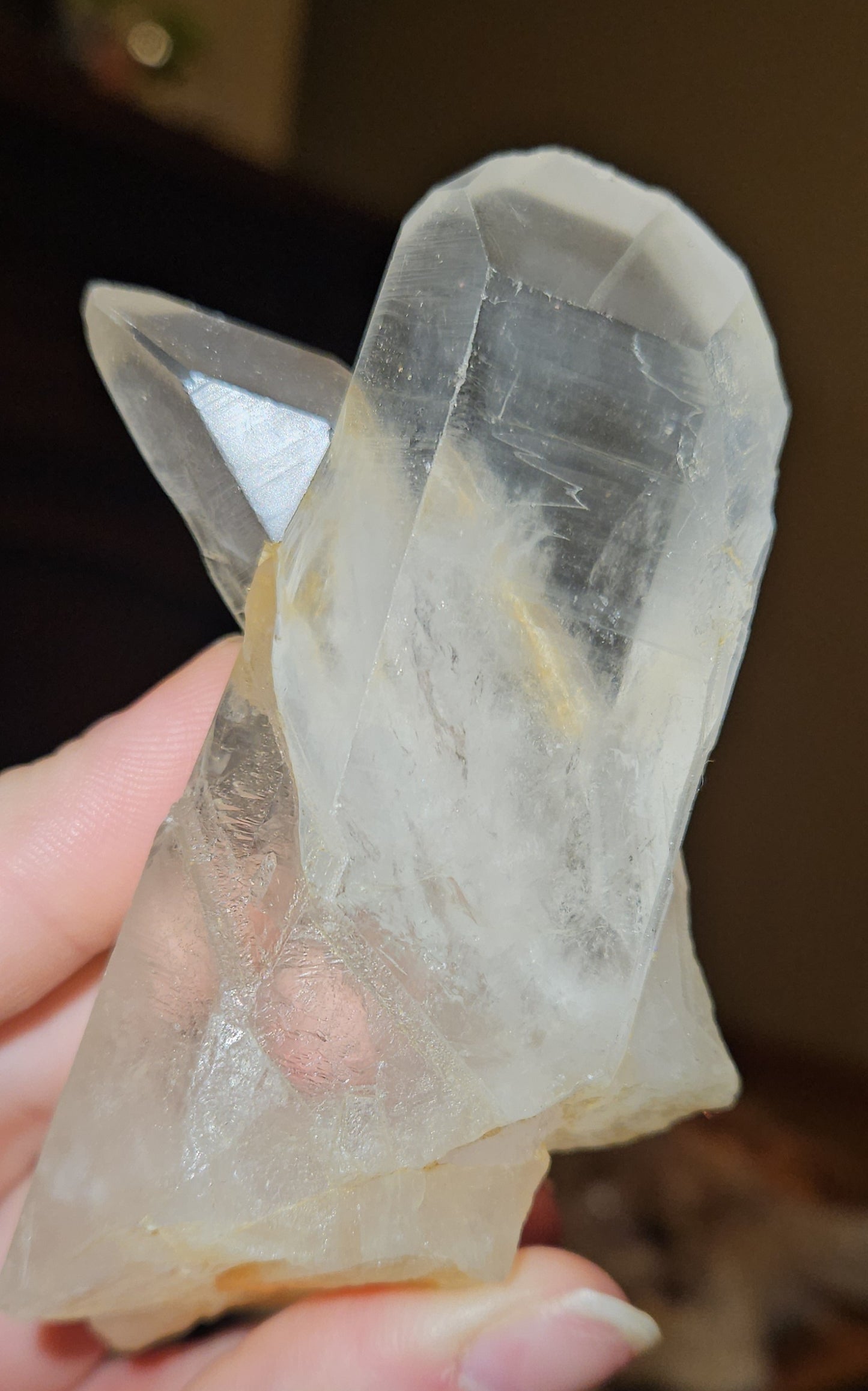 Lemurian Cluster