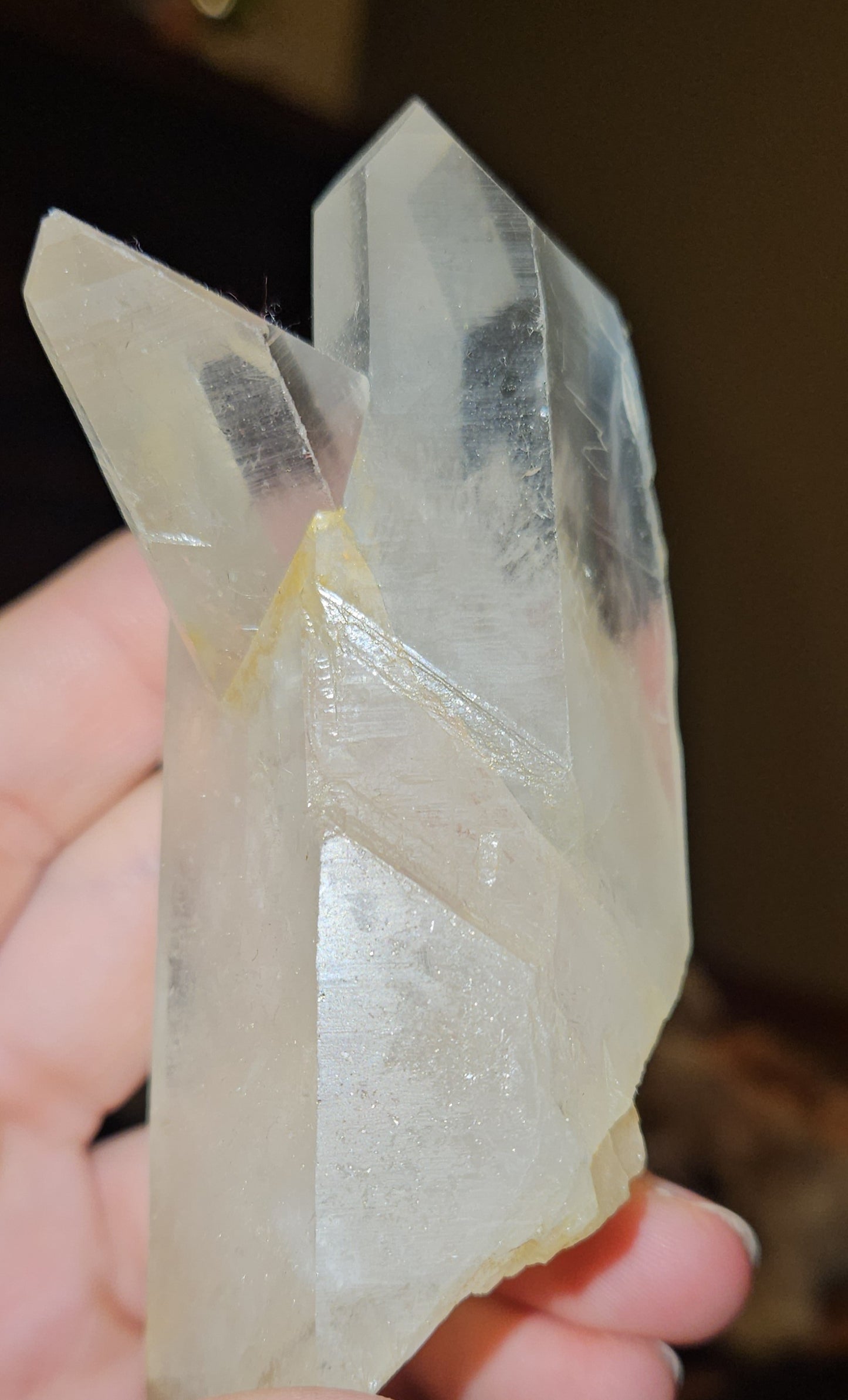Lemurian Cluster