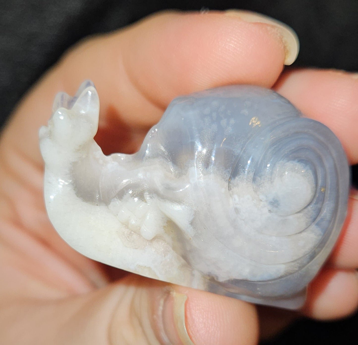 Skull Snails (3)