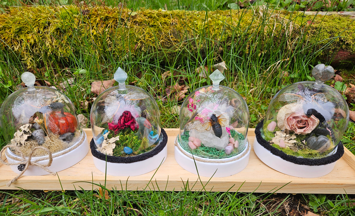 Cicada Fairy light Dome (Ostara)