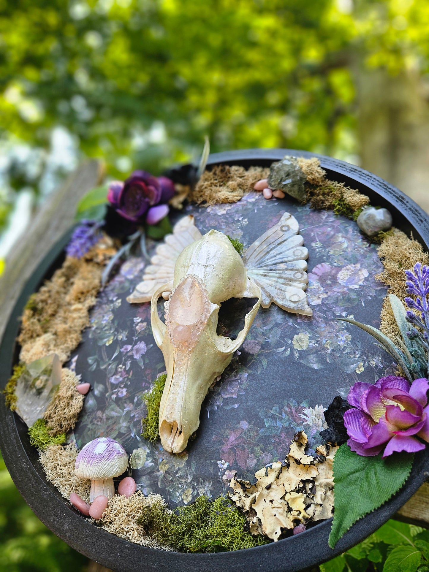 Fox Fairy ✨️