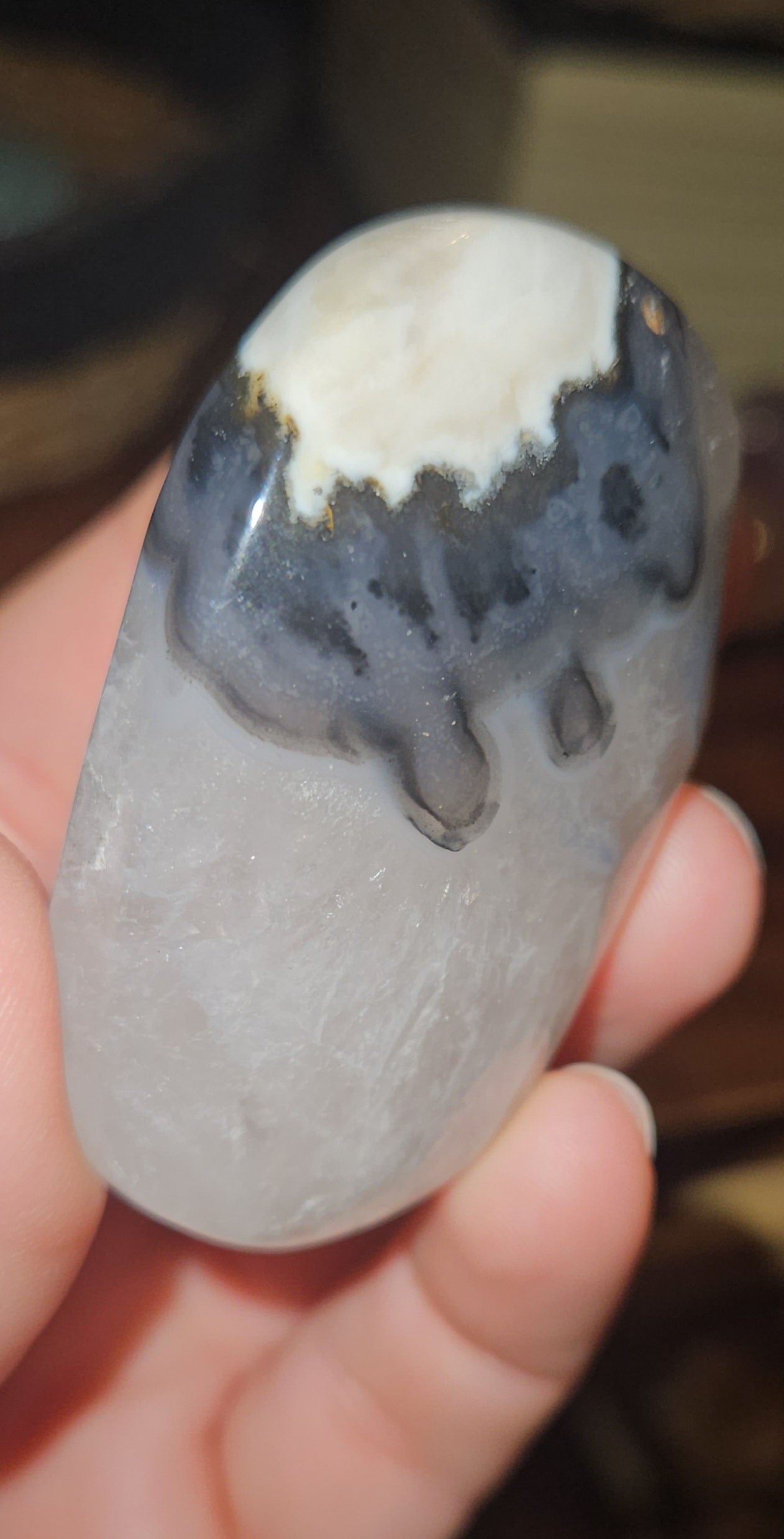 Volcano Agate Palm Stone
