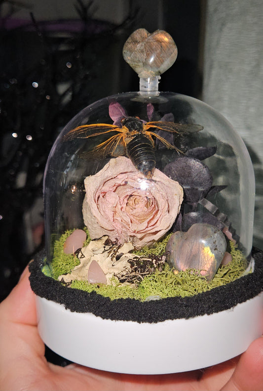 Cicada Fairy light Dome ( Pink Rose)