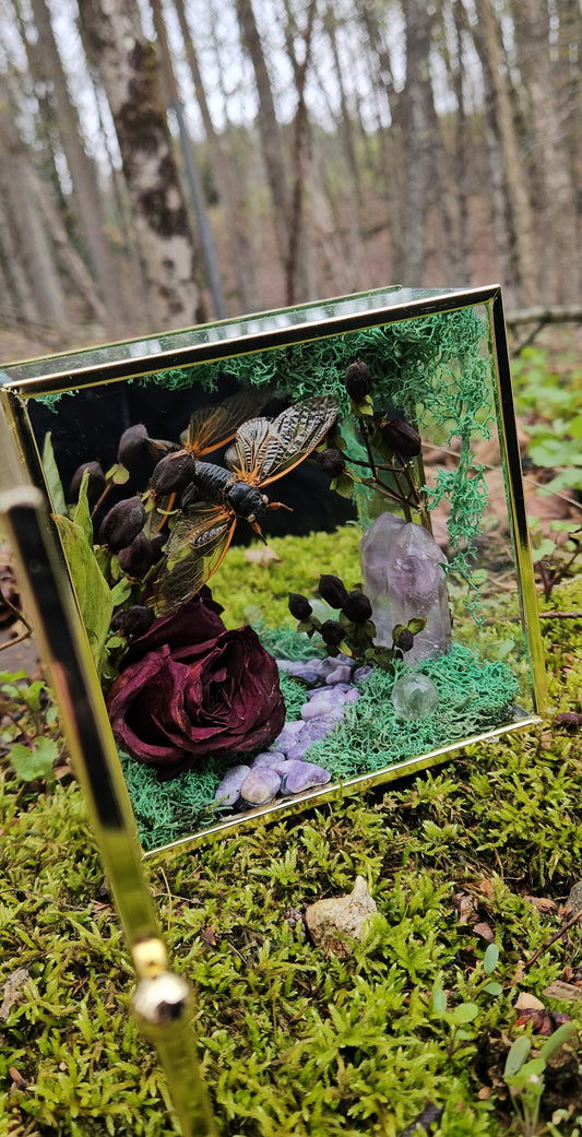 Whimsical Forest (Cicada)