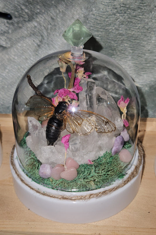 Cicada Fairy light Dome ( Brazil Quartz cluster)