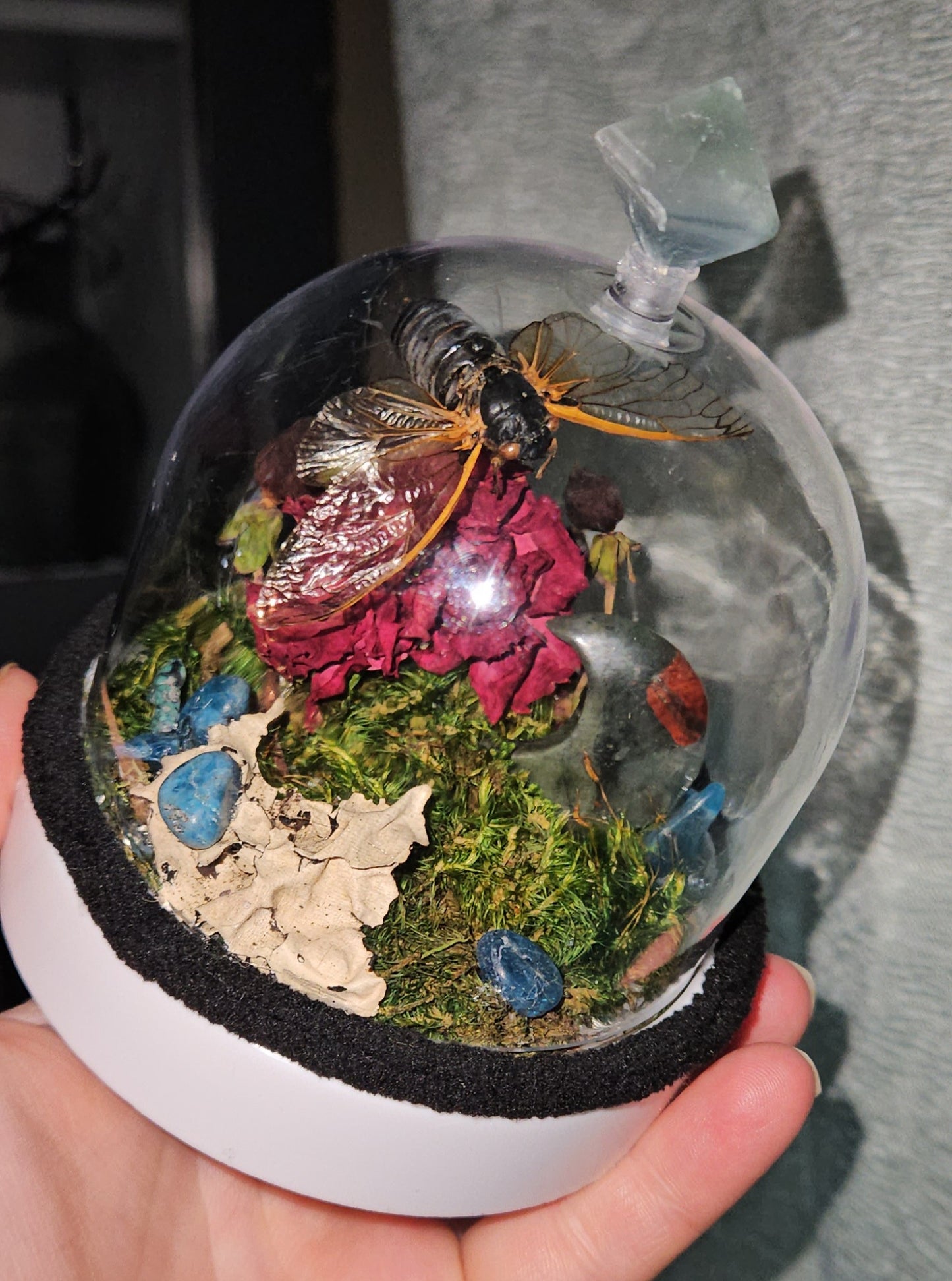Cicada Fairy light Dome (Ostara)