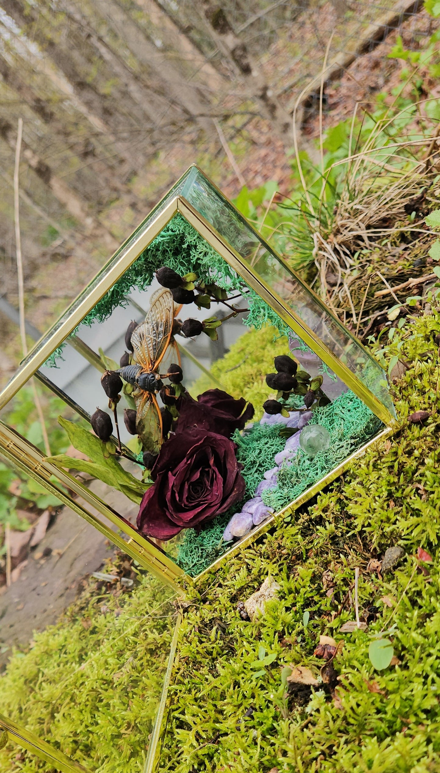 Whimsical Forest (Cicada)