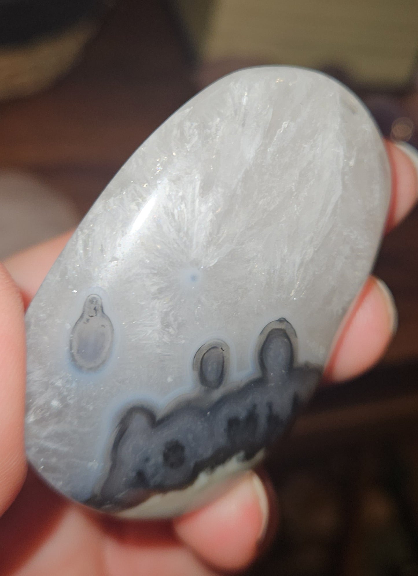 Volcano Agate Palm Stone