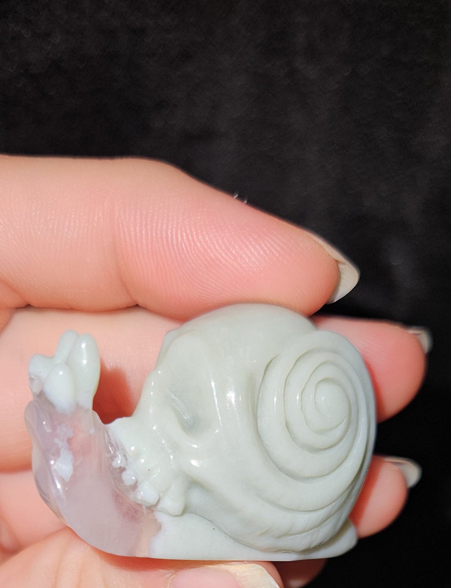 Skull Snails (3)