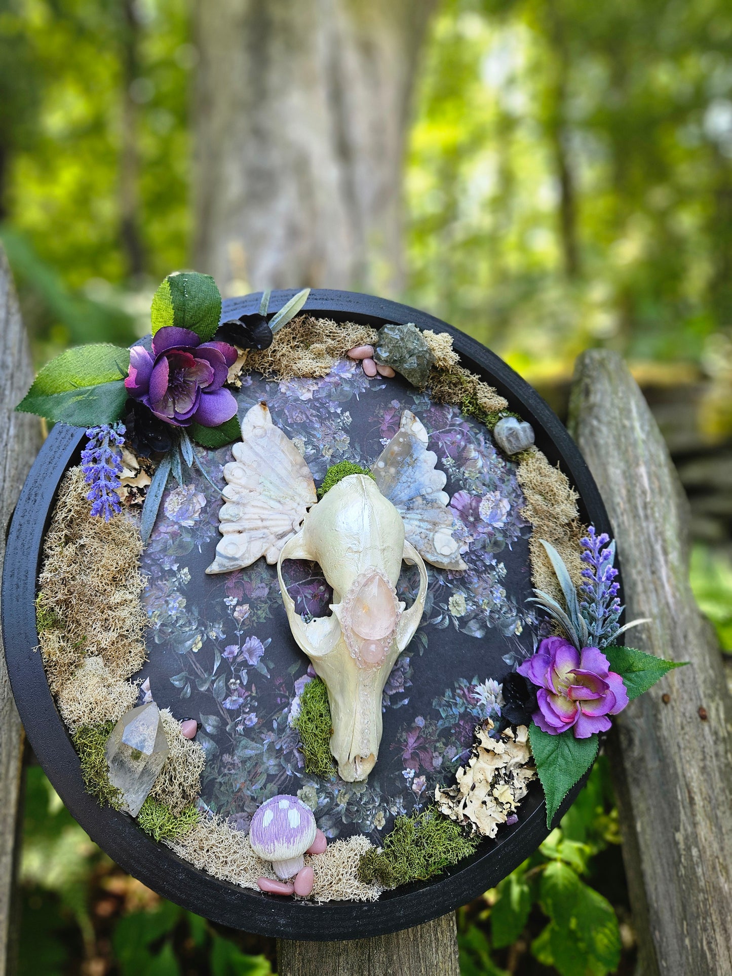 Fox Fairy ✨️