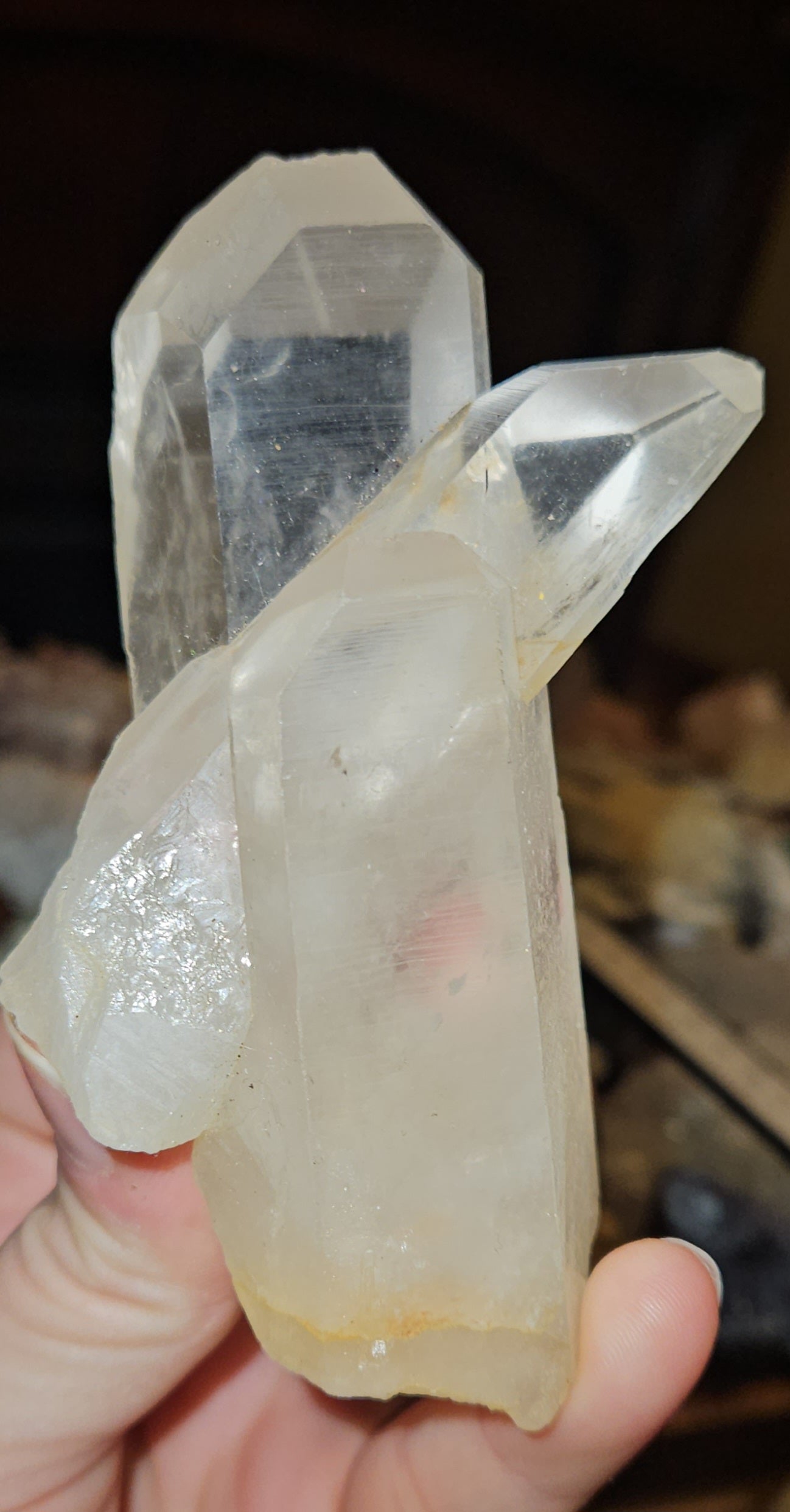 Lemurian Cluster